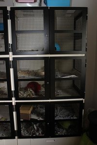 IMG_5431.JPG IMG_5431.JPG