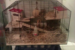 IMAG0066.jpg IMAG0066.jpg