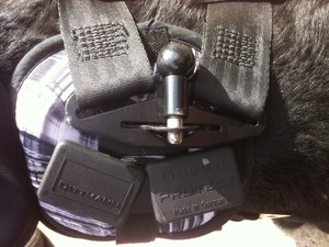 Verschluss Rücken.JPG