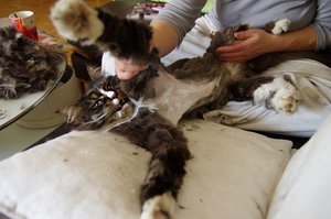 photo2.jpg photo2.jpg