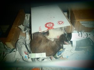 minky seitenschlaf.jpg