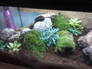 2012-04-05 12.33.28.jpg