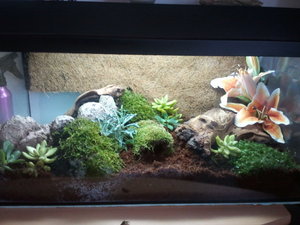 2012-04-05 12.34.58.jpg