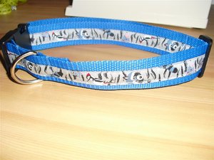 CIMG6834 (Mittel).JPG