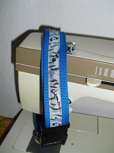 CIMG6836 (Mittel).JPG