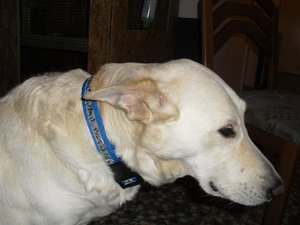 CIMG6838 (Mittel).JPG