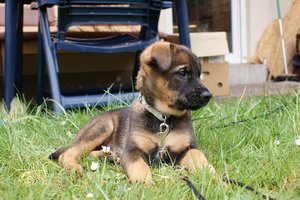 DSC06465 (Kopie).JPG