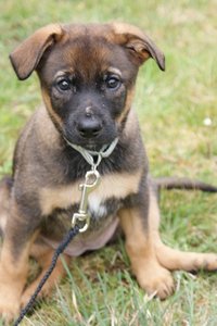 DSC06432 (Kopie).JPG