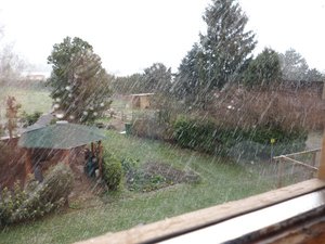 CIMG2061 - Kopie.JPG CIMG2061 - Kopie.JPG