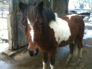 IMG_8526.jpg IMG_8526.jpg