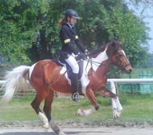 2011-07-02 14.10.50-1.jpg 2011-07-02 14.10.50-1.jpg