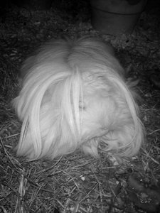 DSC00842 (480x640).jpg