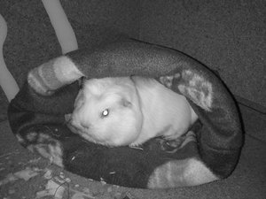 DSC00860 (2) (640x480).jpg