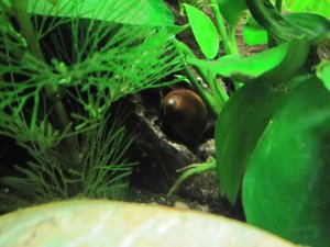 IMG_2258.jpg IMG_2258.jpg