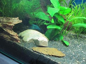 IMG_2265.jpg IMG_2265.jpg