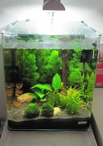 IMG_2267.jpg IMG_2267.jpg