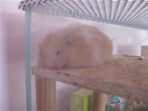 IMG_1159 (Mobile).JPG