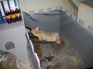 007 (1024x768).jpg 007 (1024x768).jpg