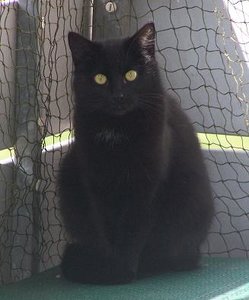 Socke13.04.2012 - Kopie.JPG