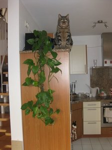 3138613738333931.jpg 3138613738333931.jpg