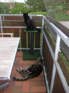 3539633136613637.jpg 3539633136613637.jpg