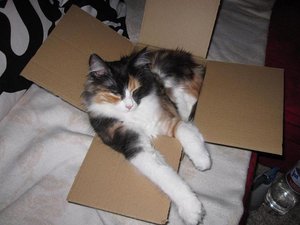 hochzeit Hinna 2011 001 (2).JPG