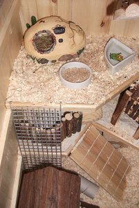 DSCF2158 - Kopie.JPG