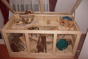 DSCF2162 - Kopie.JPG