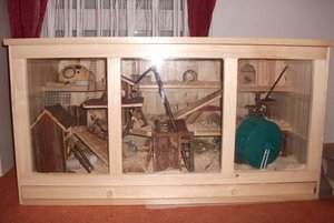 DSCF2151 - Kopie.JPG