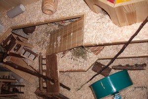 DSCF2152 - Kopie.JPG