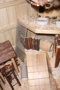 DSCF2155 - Kopie.JPG