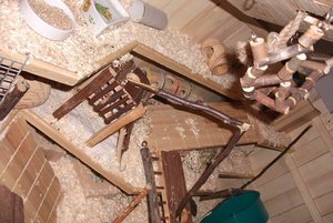 DSCF2156 - Kopie.JPG