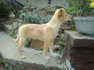 k-CIMG9738.JPG k-CIMG9738.JPG