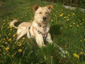 k-DSC_0299.JPG k-DSC_0299.JPG