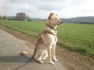 k-DSC_0308.JPG k-DSC_0308.JPG