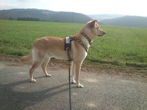 k-DSC_0311.JPG k-DSC_0311.JPG