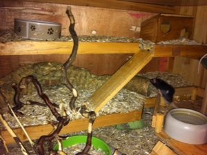 Käfig innen (3).JPG