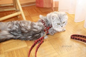 iphone 522012 007.JPG