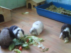 DC000526 - Kopie.jpg