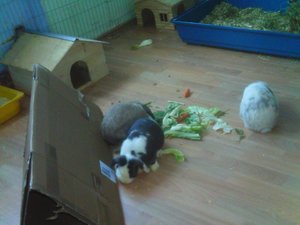 DC000544 - Kopie.jpg DC000544 - Kopie.jpg