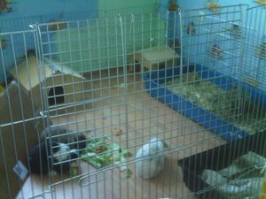 DC000538 - Kopie.jpg DC000538 - Kopie.jpg