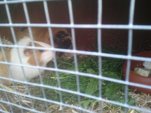 2012-04-11 19.37.jpg