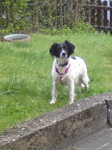 DSC00189.JPG DSC00189.JPG