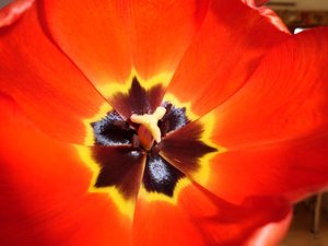 CIMG2115 - Kopie.JPG