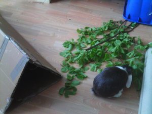 DC000633.jpg DC000633.jpg