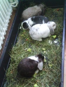 DC000631.jpg DC000631.jpg