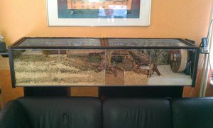 Gehege mit Abdeckung.jpg