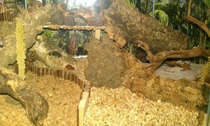 Gehegenahaufnahme vom Buddelbereich.jpg