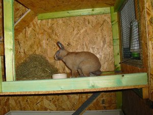 CIMG6472 (Mittel).JPG