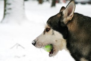 aIMG_3415 - Kopie.jpg